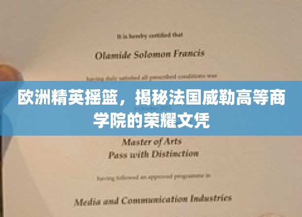 欧洲精英摇篮，揭秘法国威勒高等商学院的荣耀文凭