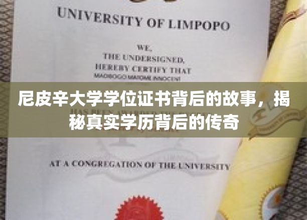 尼皮辛大学学位证书背后的故事，揭秘真实学历背后的传奇