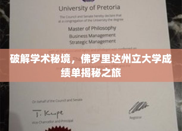 探索学术秘境，佛罗里达州立大学成绩单背后的故事