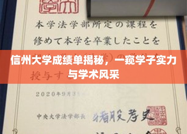 信州大学成绩单揭秘，一窥学子实力与学术风采