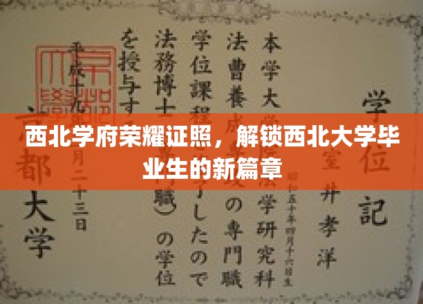 西北荣耀开启，西北大学学子新征程的证照传奇