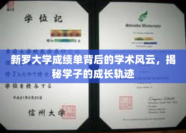 解码新罗大学成绩单，探寻学子成长与学术风云的交织