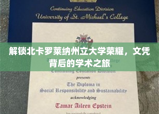 探寻北卡罗莱纳州立大学卓越光环，揭秘学子们背后的学术征途