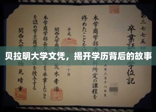 学历光环下的贝拉明，揭秘背后的真实历程