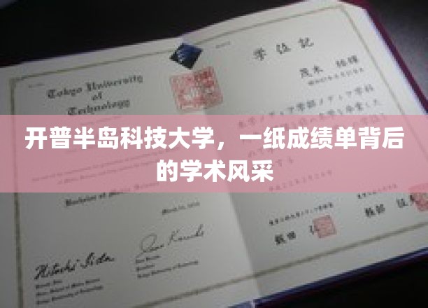 探索开普半岛科技大学，揭开成绩单背后的学术璀璨