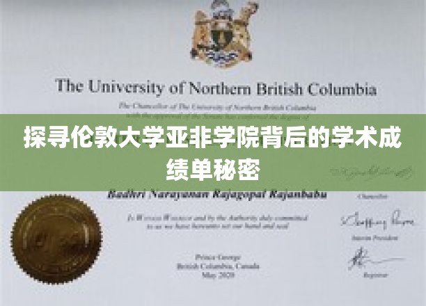 揭秘伦敦亚非学院，卓越学术成就背后的故事