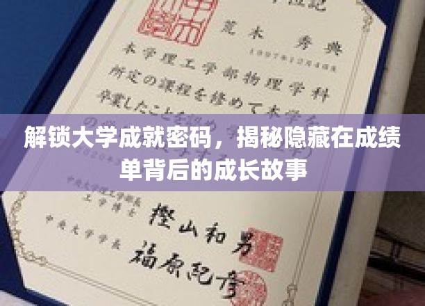 解码大学成绩单，探寻背后的青春足迹