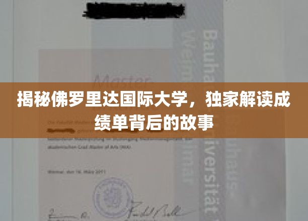 解码佛罗里达国际大学，探寻成绩单背后的非凡历程