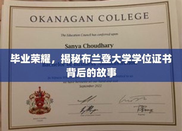 毕业荣耀，揭秘布兰登大学学位证书背后的故事