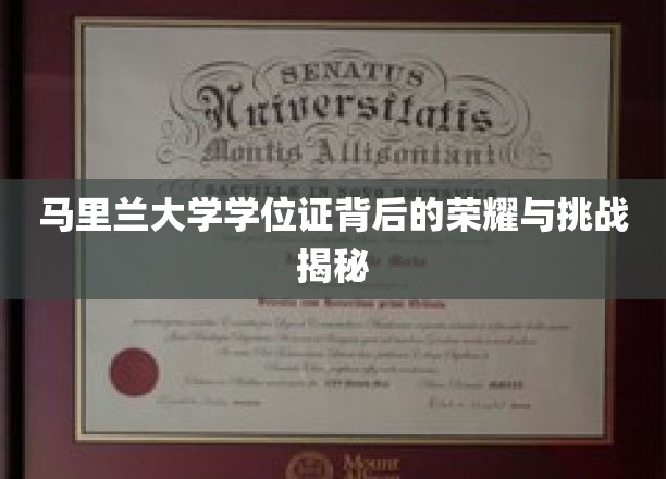 马里兰大学学位证背后的荣耀与挑战揭秘