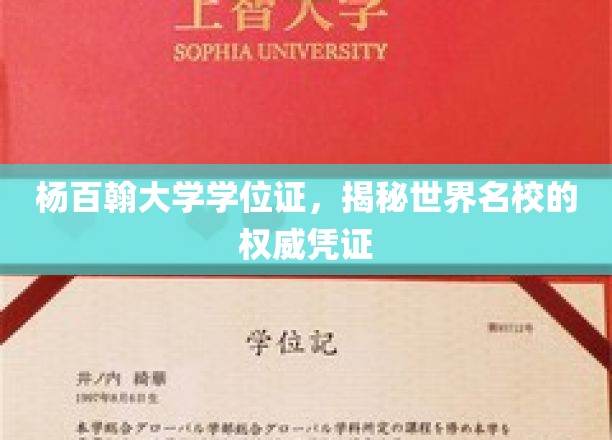 杨百翰大学学位证背后，揭秘全球顶尖学府的认证魅力