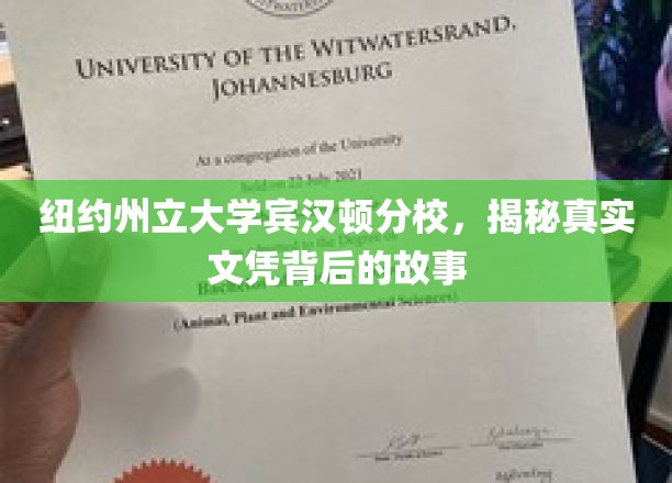 宾汉顿分校文凭之谜，揭开纽约州立大学的真实面纱