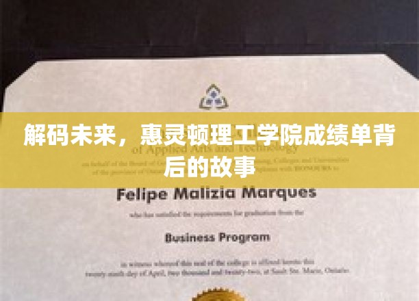 解码未来秘境，惠灵顿理工学院成绩单背后的惊奇之旅