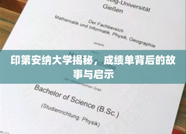 印第安纳大学揭秘，成绩单背后的故事与启示