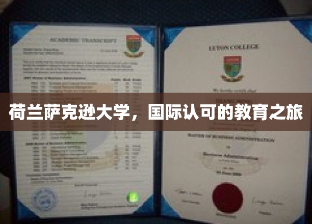 探索荷兰萨克逊大学的全球教育魅力之旅
