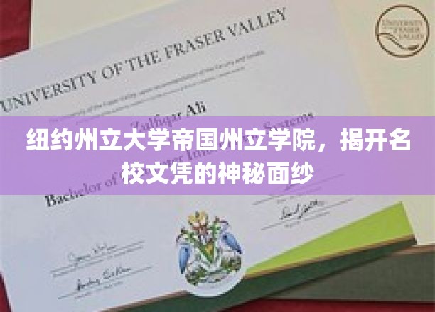 纽约州立大学帝国州立学院，揭开名校文凭的神秘面纱