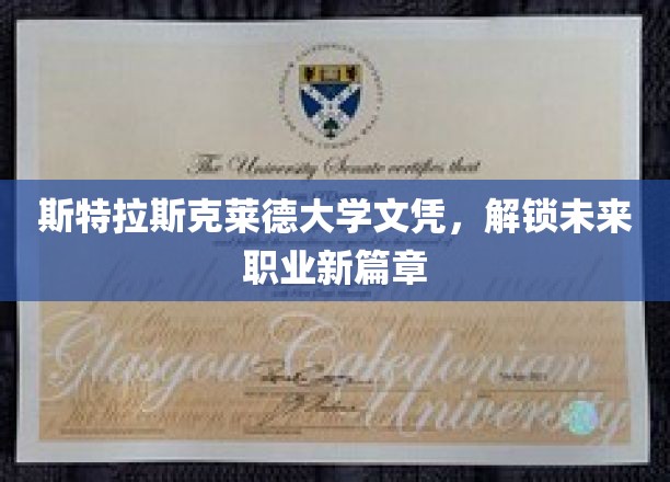解锁职业新境界，斯特拉斯克莱德大学文凭助你飞跃人生舞台