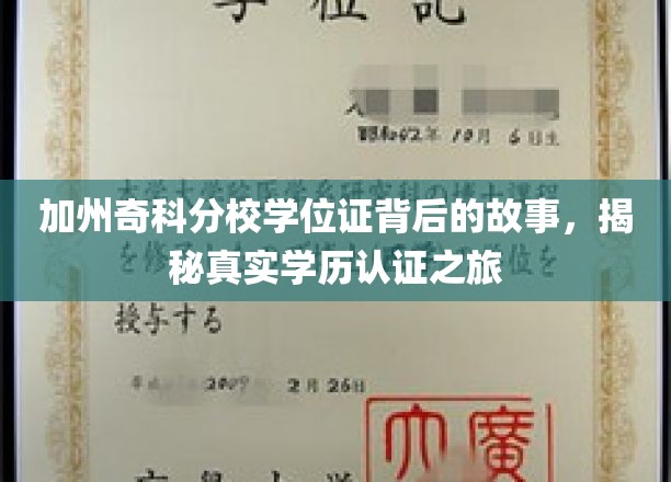 加州奇科分校学历认证之谜，一场探索真实学位证的奇幻旅程