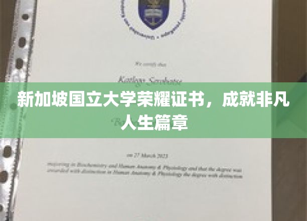 新加坡国立大学荣耀加冕，开启非凡人生新篇章