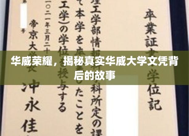 华威荣耀，揭秘真实华威大学文凭背后的故事