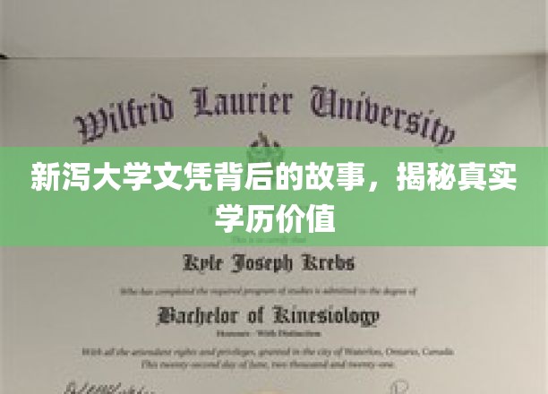探寻新泻大学文凭背后的真相，学历价值如何体现？
