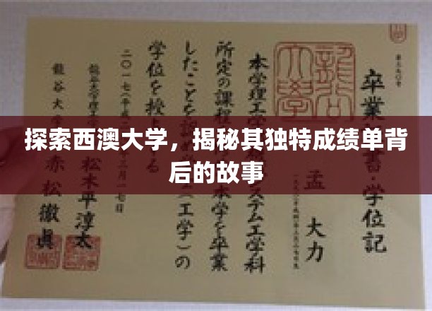解码西澳大学，探寻个性化成绩单背后的精彩篇章