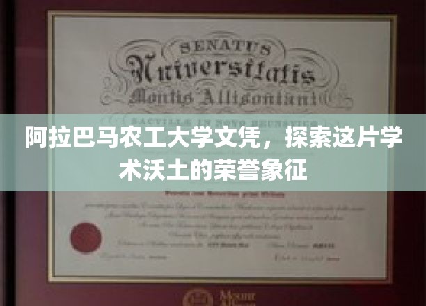 阿拉巴马农工大学文凭，这片学术沃土的荣耀象征