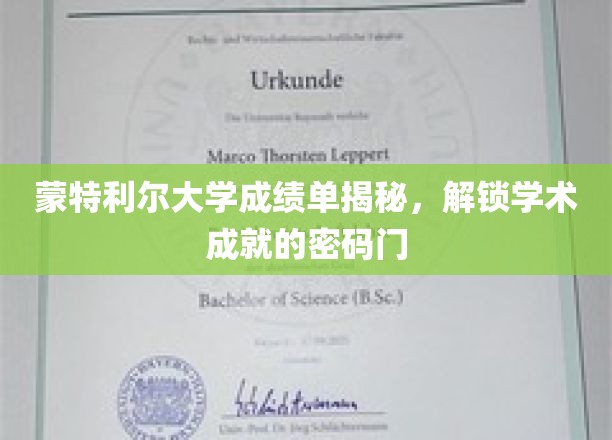 蒙特利尔大学成绩单揭秘，解锁学术成就的密码门