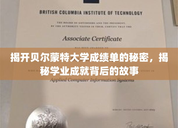 深入解读贝尔蒙特大学成绩单，探寻学业成就背后的精彩故事