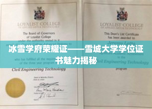 雪城大学荣耀展，学位证书背后的冰雪学府传奇