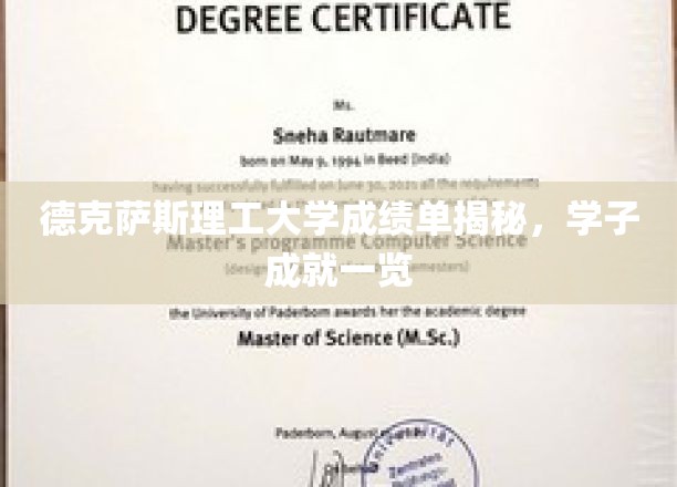 德克萨斯理工大学成绩单揭秘，学子成就一览