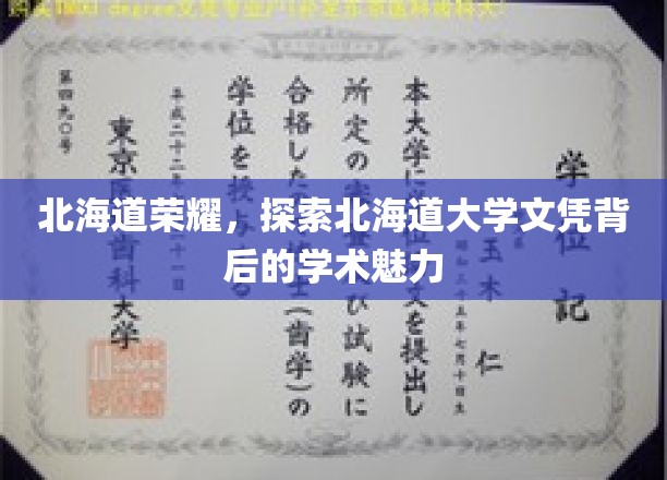北海道荣耀，探寻北海道大学文凭背后的学术风采