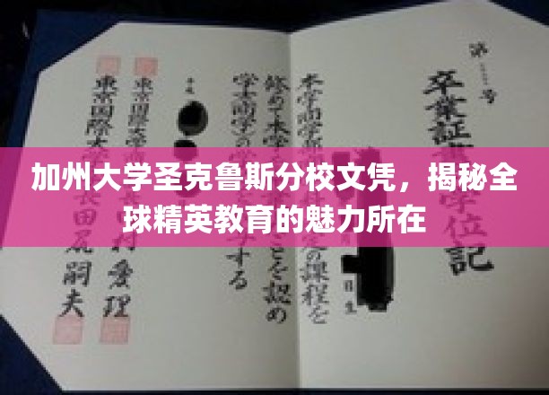 解码加州精英，圣克鲁斯分校文凭背后的全球教育风采