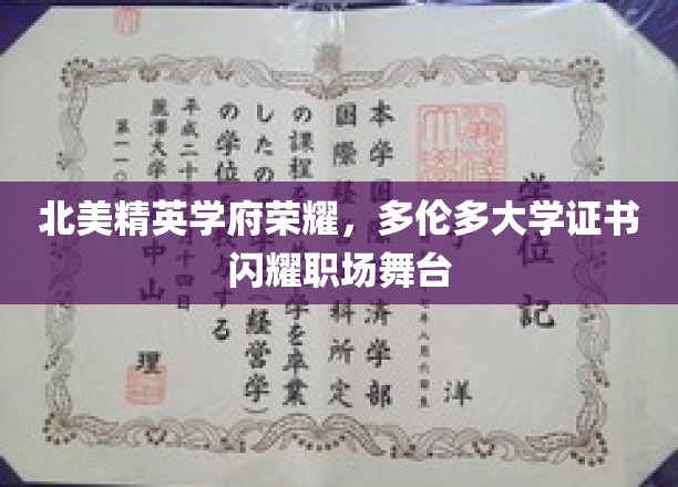 多伦多大学荣耀加身，精英证书点亮职场星光