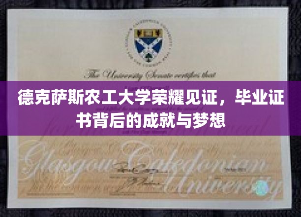 德克萨斯农工大学荣耀见证，毕业证书背后的成就与梦想