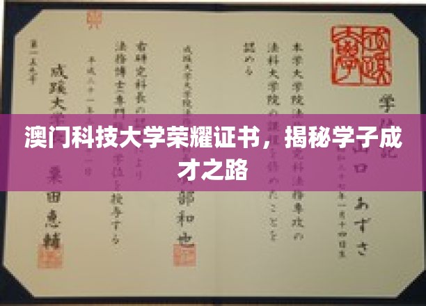 澳门科技大学学子荣耀，探索成才奥秘之旅