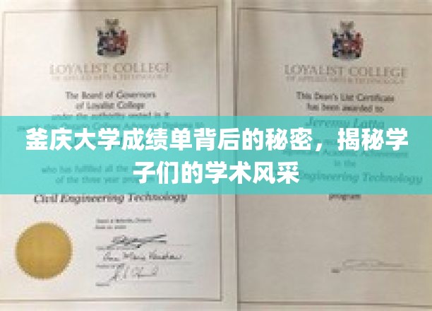 釜庆大学成绩单背后的秘密，揭秘学子们的学术风采
