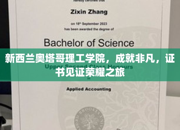 新西兰奥塔哥理工学院，成就非凡，证书见证荣耀之旅