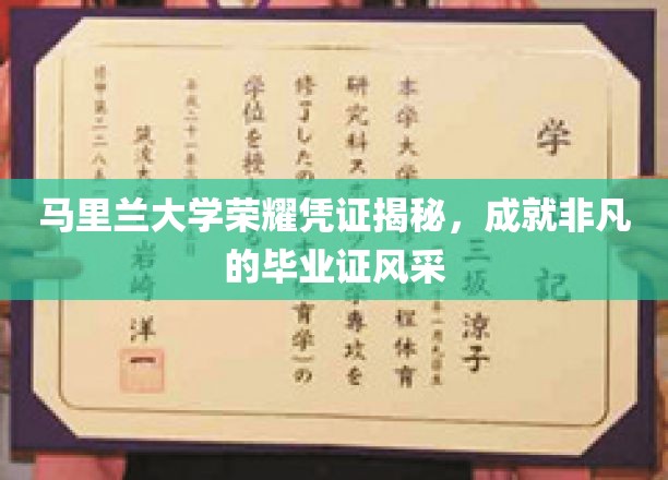 马里兰大学毕业证书揭秘，见证荣耀与非凡的学位风采