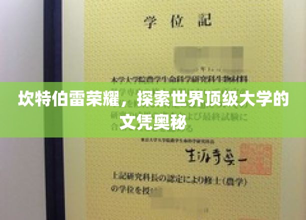 探寻坎特伯雷荣耀，揭秘世界顶级大学文凭背后的传奇故事