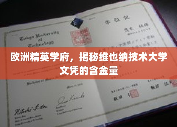 欧洲精英学府，揭秘维也纳技术大学文凭的含金量