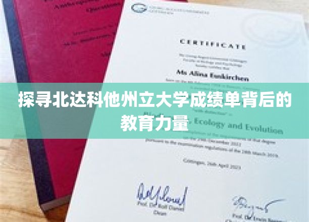 深入挖掘北达科他州立大学成绩单背后的教育精髓