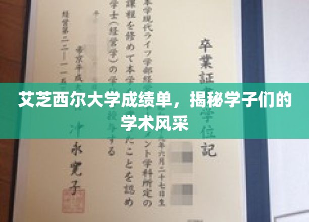 艾芝西尔大学成绩单，展现学子们的学术风采