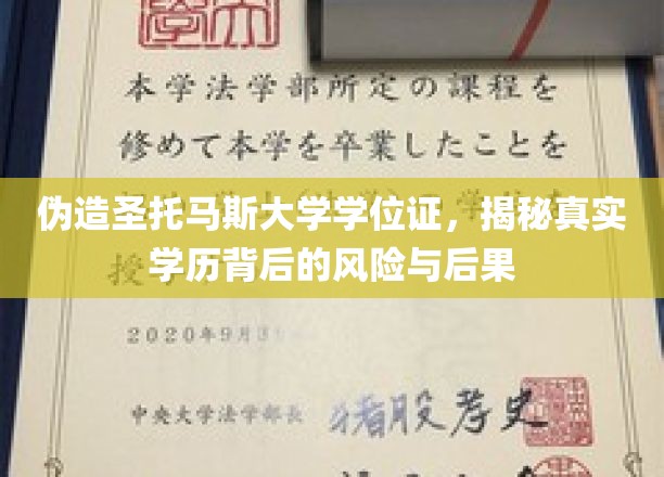 冒牌圣托马斯学位证揭秘，学历伪造的阴影与代价