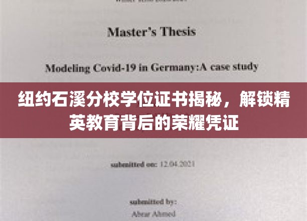 解锁纽约石溪分校学位证书，探寻精英教育中的荣耀象征