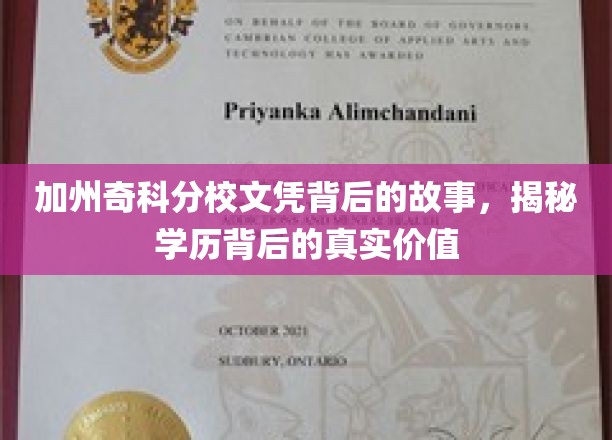 加州奇科分校文凭之谜，揭开学历背后的深层价值面纱