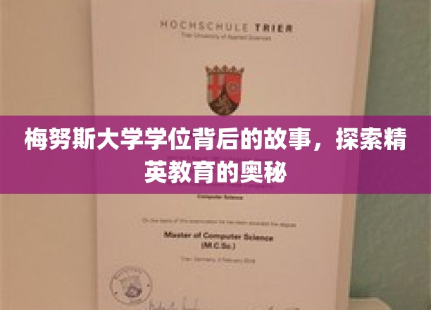 解码梅努斯精英摇篮，揭秘学位背后的非凡历程