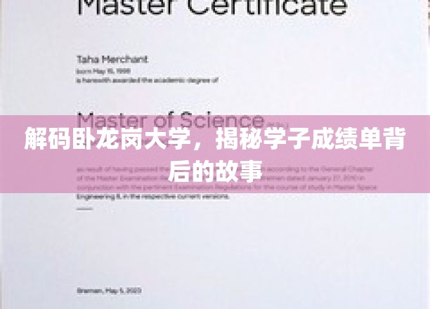 解码卧龙岗大学，揭秘学子成绩单背后的故事