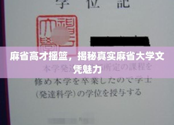 解码麻省大学，探寻精英摇篮的教育魔力