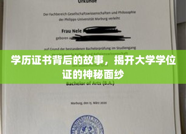 学位证背后的秘密，探寻学历证书的诞生之谜